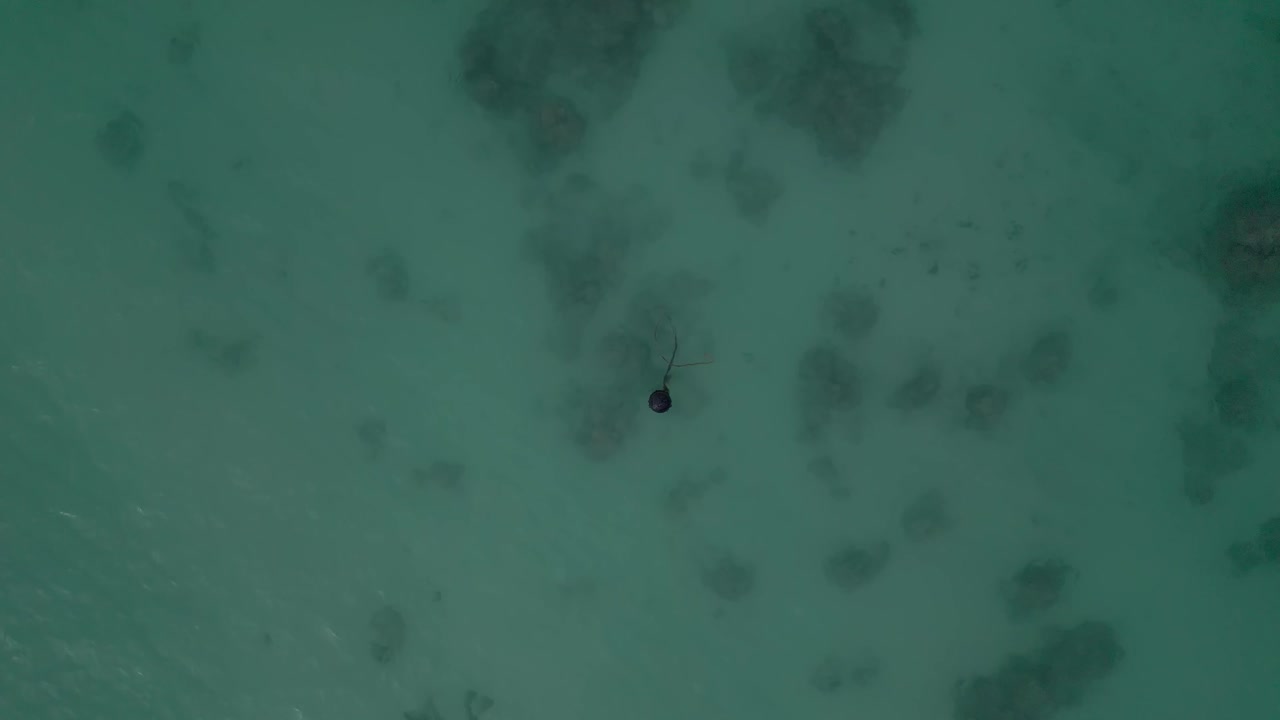 푸르키즈 바다 위 의 보트 보이 의 면