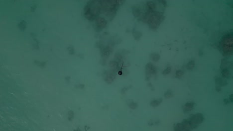 Top-View-Of-A-Boating-Buoy-Over-Turquoise-Sea