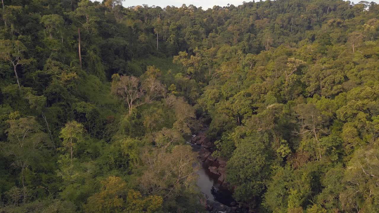 naturaleza virgen, río en selva virgen
