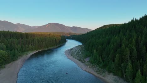 coniferous forest with calm stream of flathead river during sunset in montana, usa