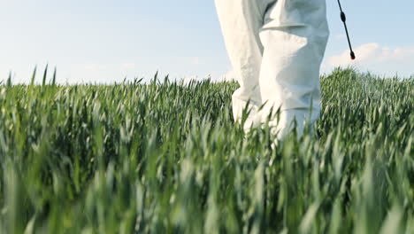 close-up view of caucasian researcher man in white protective suit and goggles walking the green field and spraying pesticides with pulverizator