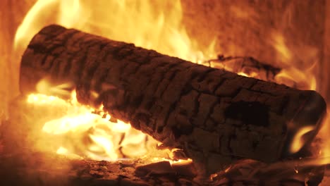 burning firewood coal close up in the fireplace