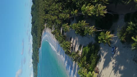 playa rincon beach, samana in dominican republic. aerial drone and vertical format
