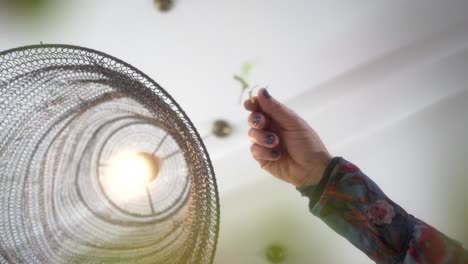 Female-Hand-Dropping-Green-Leafy-Herbs-Against-Interior-Ceiling-Background