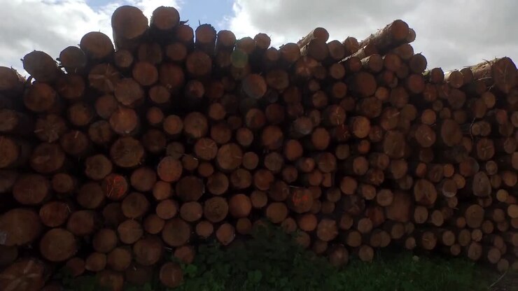Drone footage of piled up woods