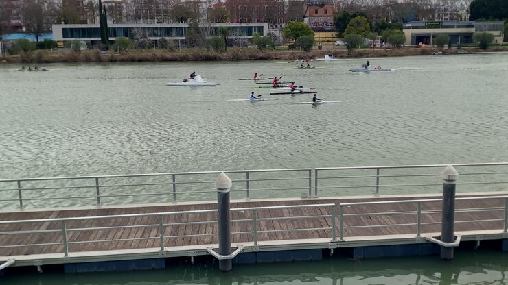 Athletes paddling kayaks and canoes during training on the Guadalquivir river in Seville, with city buildings on the far bank