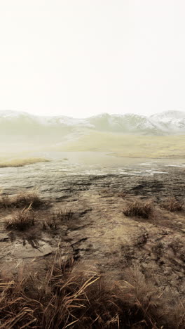 a serene landscape with a snow-capped mountain range in the distance and a field of dry grass in the foreground.