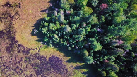 Beautiful-4K-aerial-shot-of-a-forest,-swamp,-and-rocky-cliff-in-Ontario,-Canada