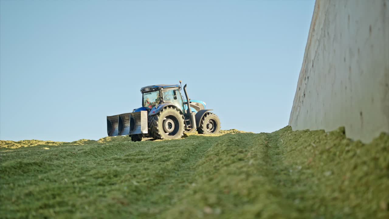 A large tractor working in a silage pit, spreading and compressing silage under a clear blue sky.modern agricultural techniques in preserving animal feed.