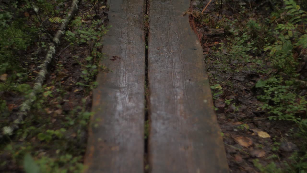 puente forestal de madera de cerca en sendero de madera marrón