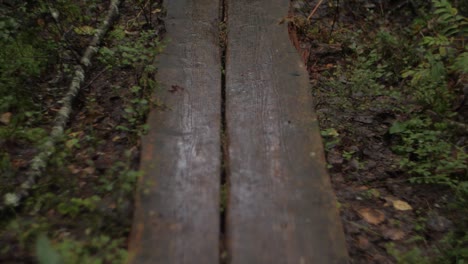 wooden forest bridge close up on brown wood trail