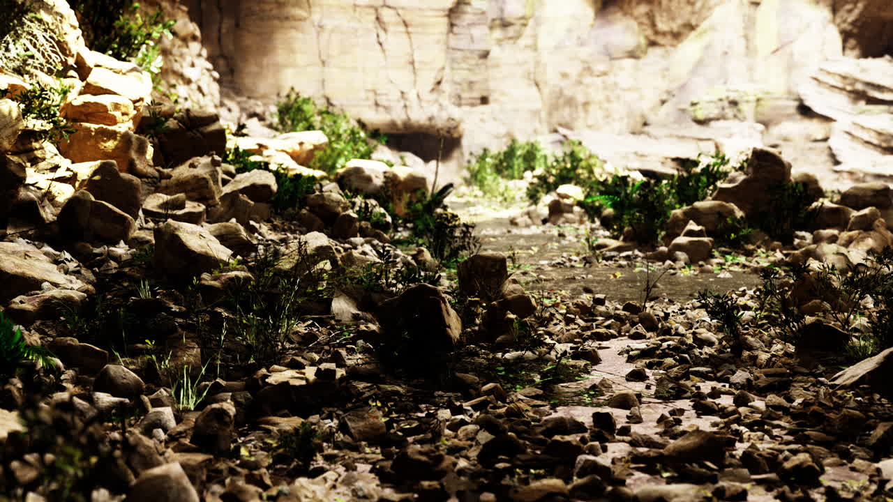 Exploring a rocky landscape filled with vibrant vegetation and sunlight