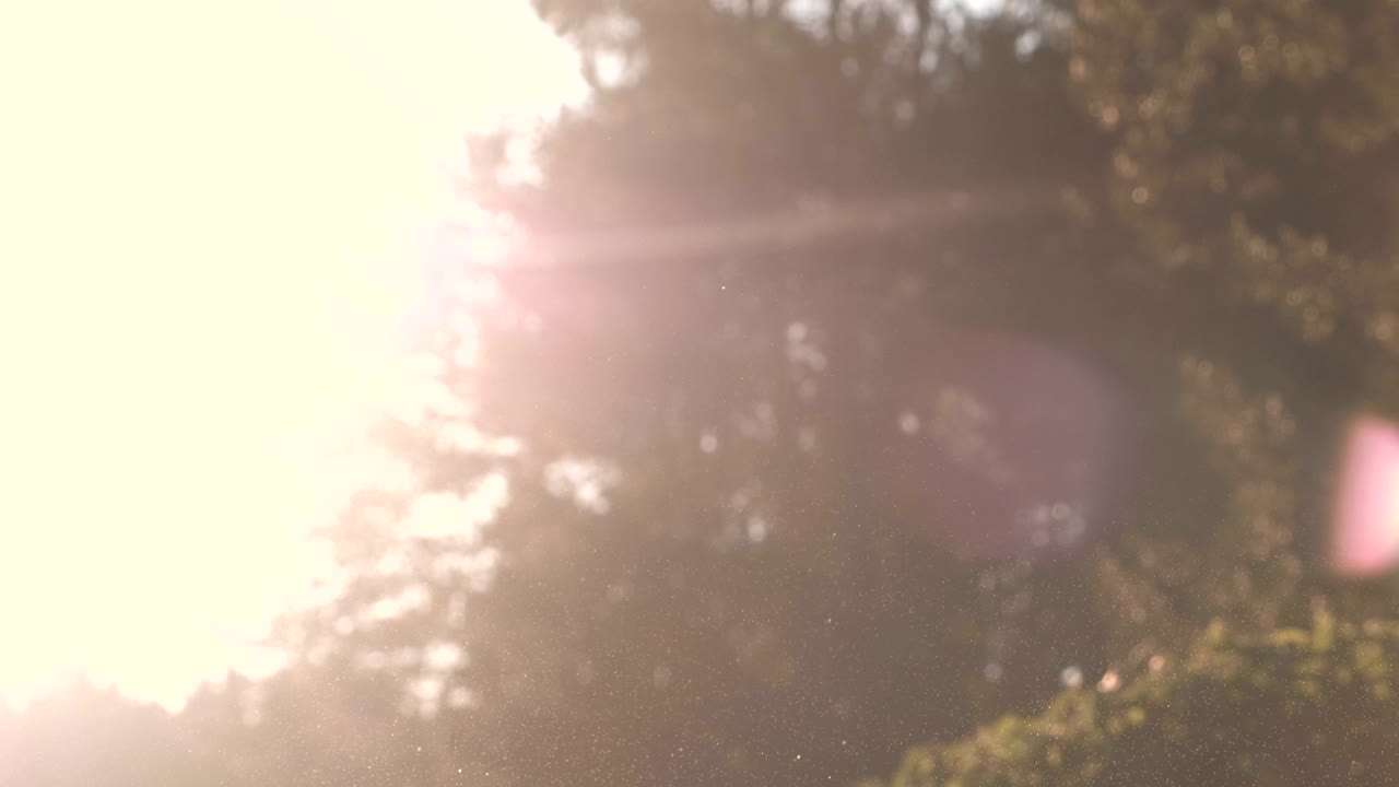 공원에서 거품을 불어넣는 장난감.