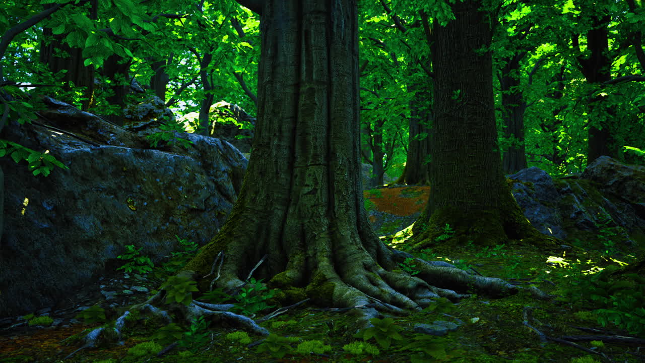 Exploring the lush green forest with majestic trees and bright foliage