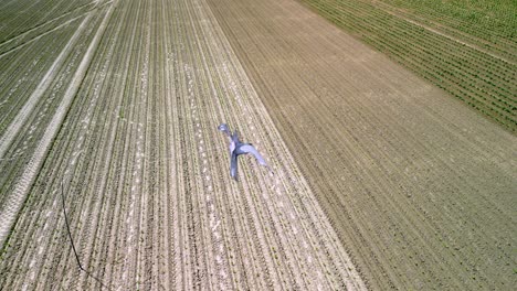 Vogelscheuchendrachen-An-Einer-Stange,-Um-Die-Vögel-Vom-Frisch-Gesäten-Feld-Zu-Verscheuchen