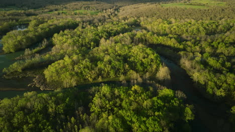 Lake-sequoyah-with-lush-greenery-in-the-golden-hour-light,-arkansas,-aerial-view