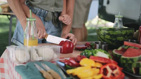 Video-of-mother-teaching-daughter-how-to-prepare-lunch