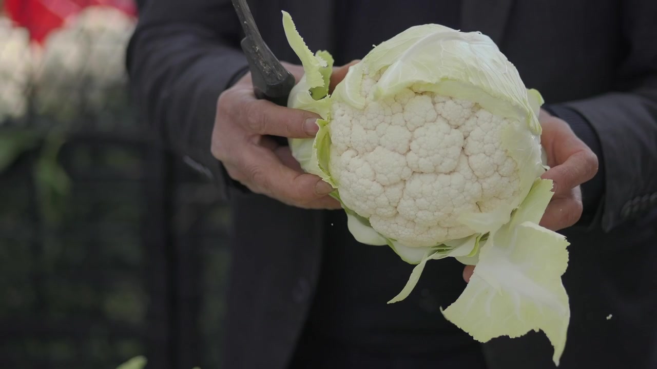 Person trimmt frischen Blumenkohl mit einem Küchenmesser