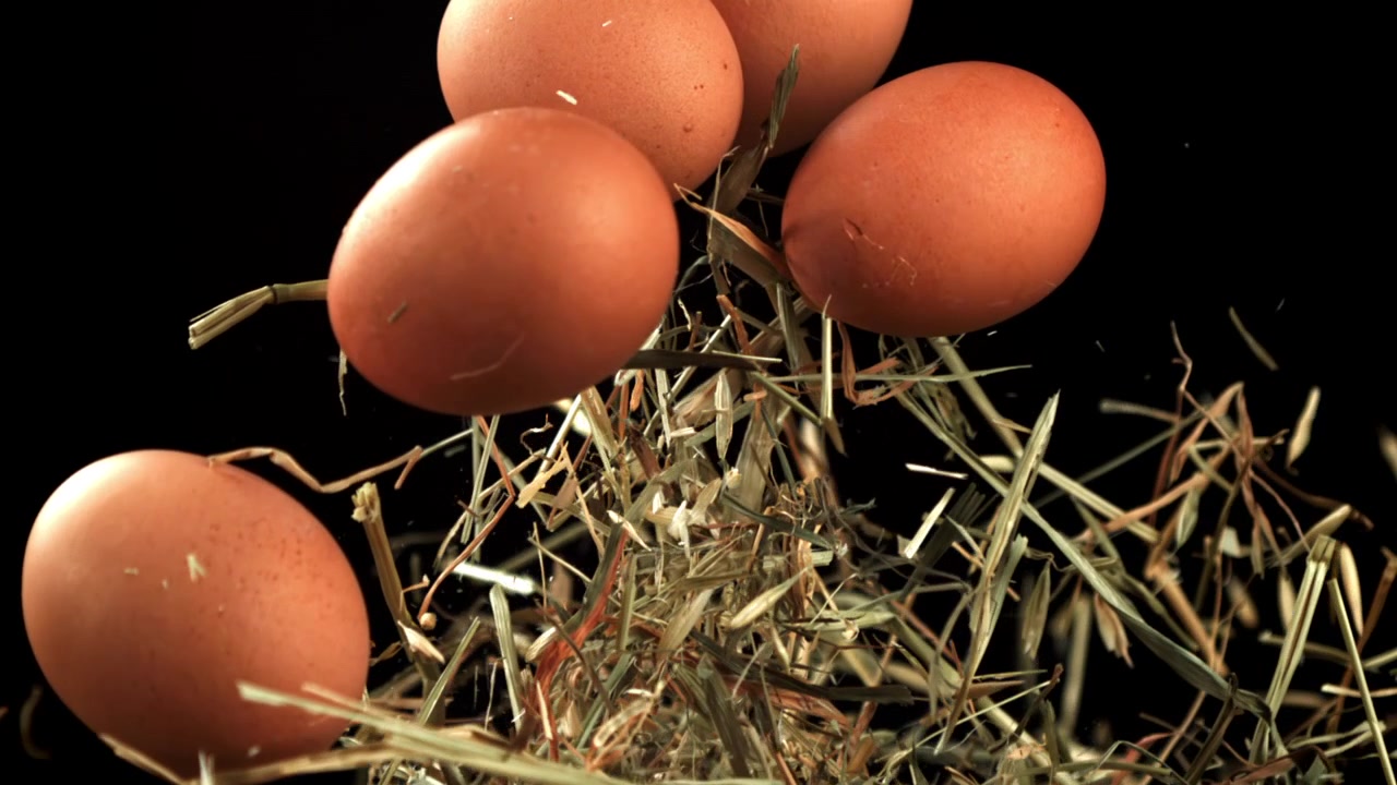 Fresh Brown Eggs and Hay Levitate Against Black Background