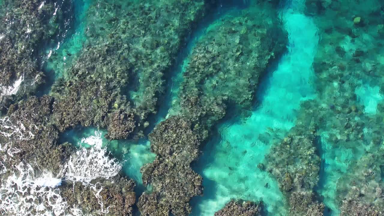 toma aérea cinematográfica 4k del arrecife de coral de la isla de utila, honduras