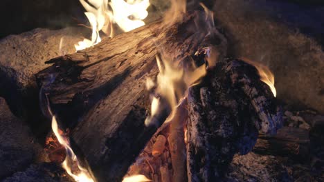 fireplace with a big wood chunk, burning flames