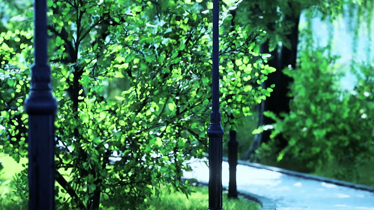 멋지고 편안한 큰 정원에서 비어있는 거리