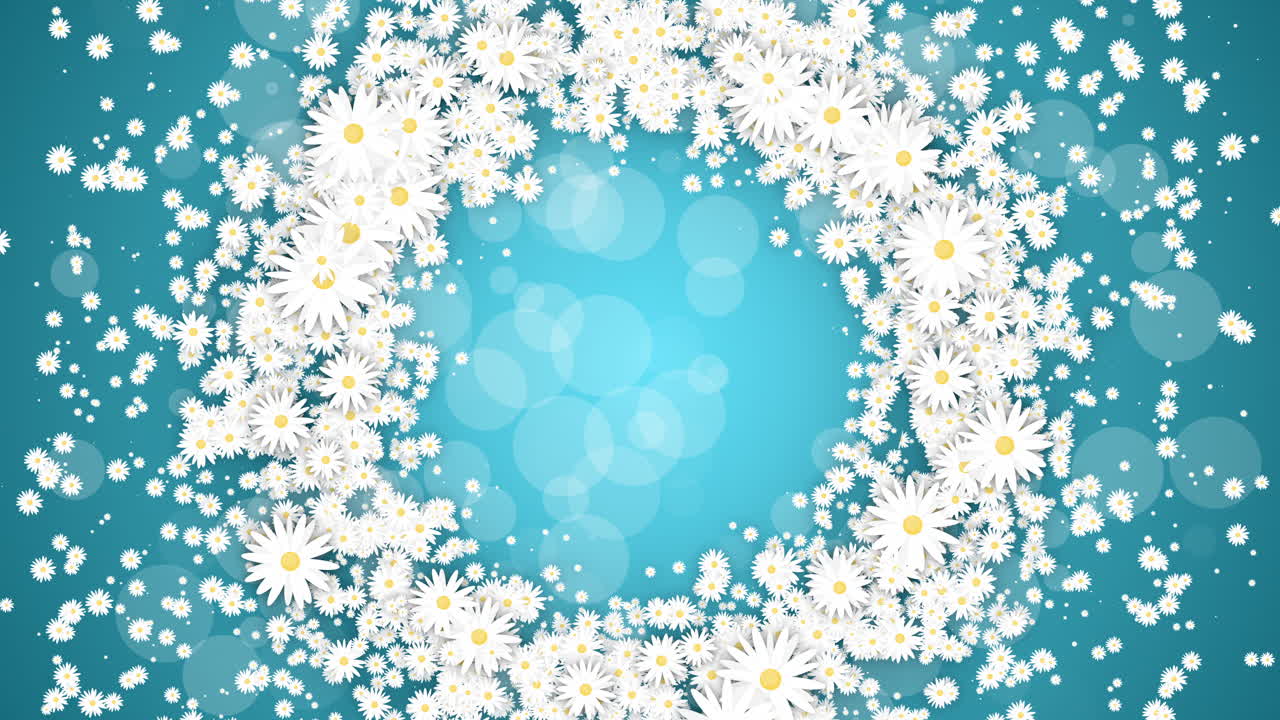 Floral round frame on turquoise spring background. Small flying daisies flowers with abstract particles. Looped holiday animation.