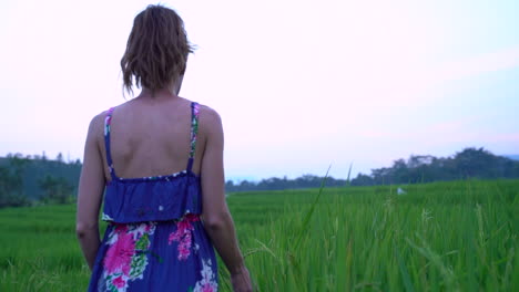 Slow-motion-shot-of-women-walking-through-rice-fields-on-Samosir-island,-North-Sumatra-in-a-bright-blue-dress-with-a-pan-to-beautiful-mountains-in-the-background