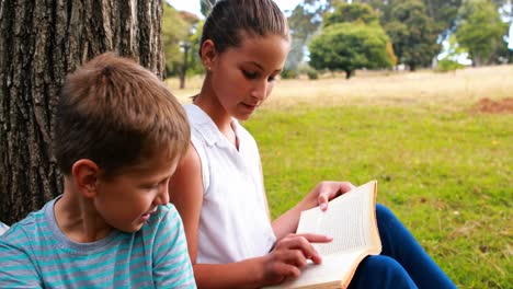 Kids-reading-books-in-park