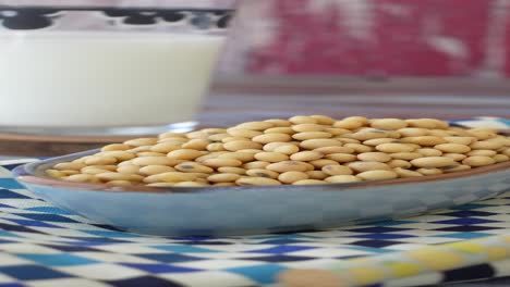 soja y leche de soja