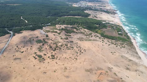 Vista-Aérea-Del-Océano-Del-Bosque