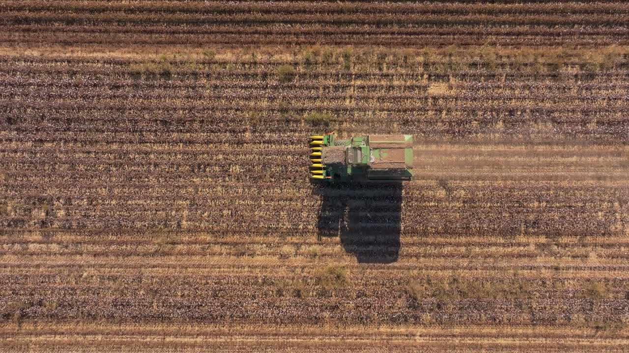 Angolazione aerea sulla raccolta del cotone nei campi con lo sfondo montuoso, Grecia