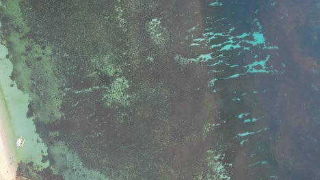 movimiento aéreo hacia arriba desde el hermoso arrecife de coral cerca de una isla costera, sudeste asiático, filipinas