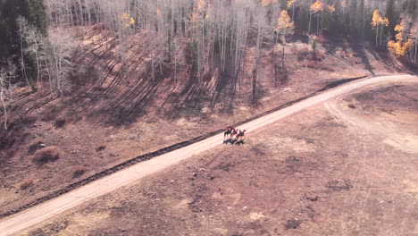 3 horse riders on a mountain road