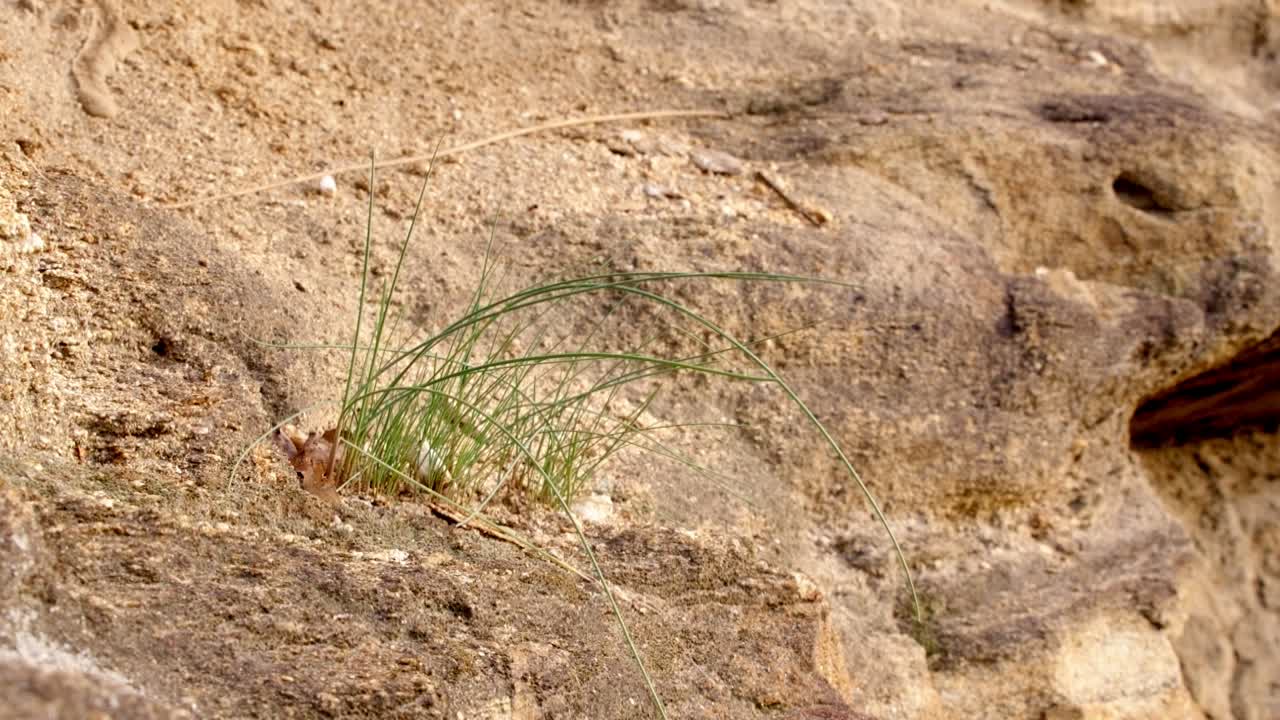 жесткие горные породы