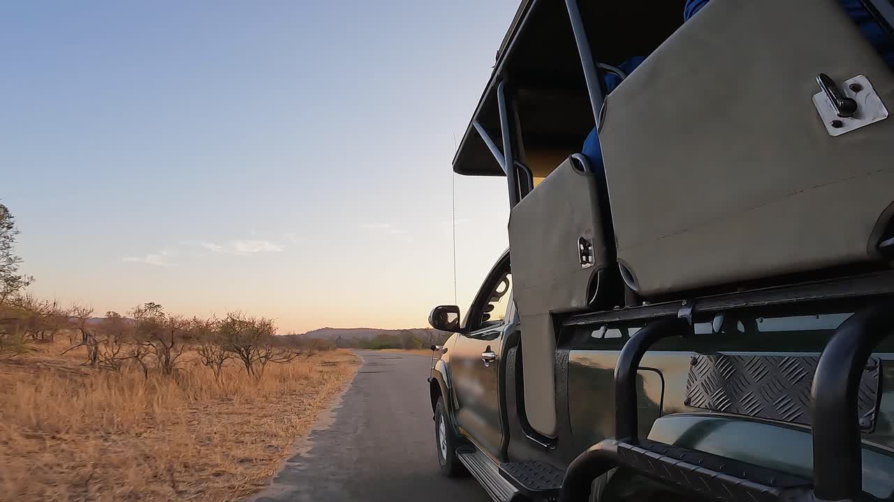 POV dal lato di un camion da safari che guida su una strada nella savana all'alba durante l'ora d'oro.