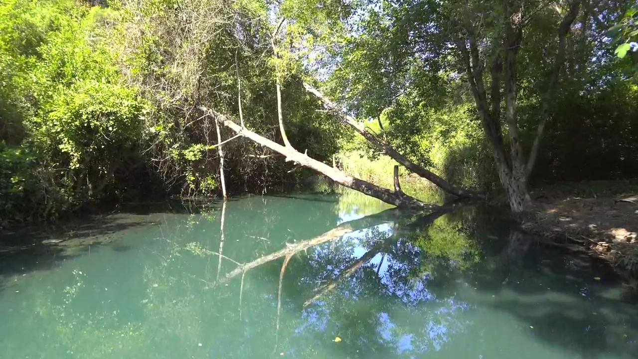 Movimiento lento a lo largo de un río tranquilo rodeado de exuberante vegetación