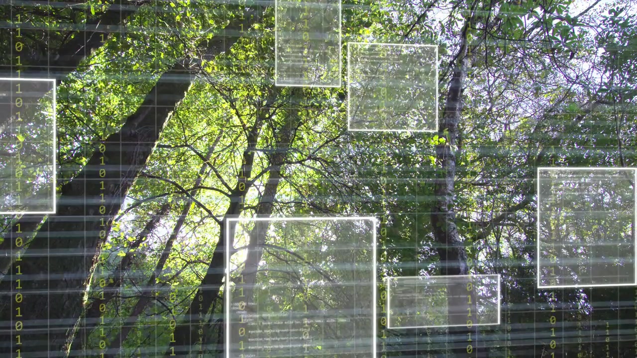 Griglia tenue che appare sopra la chioma degli alberi, pannelli traslucidi che si materializzano e fluttuano, mostrando dati