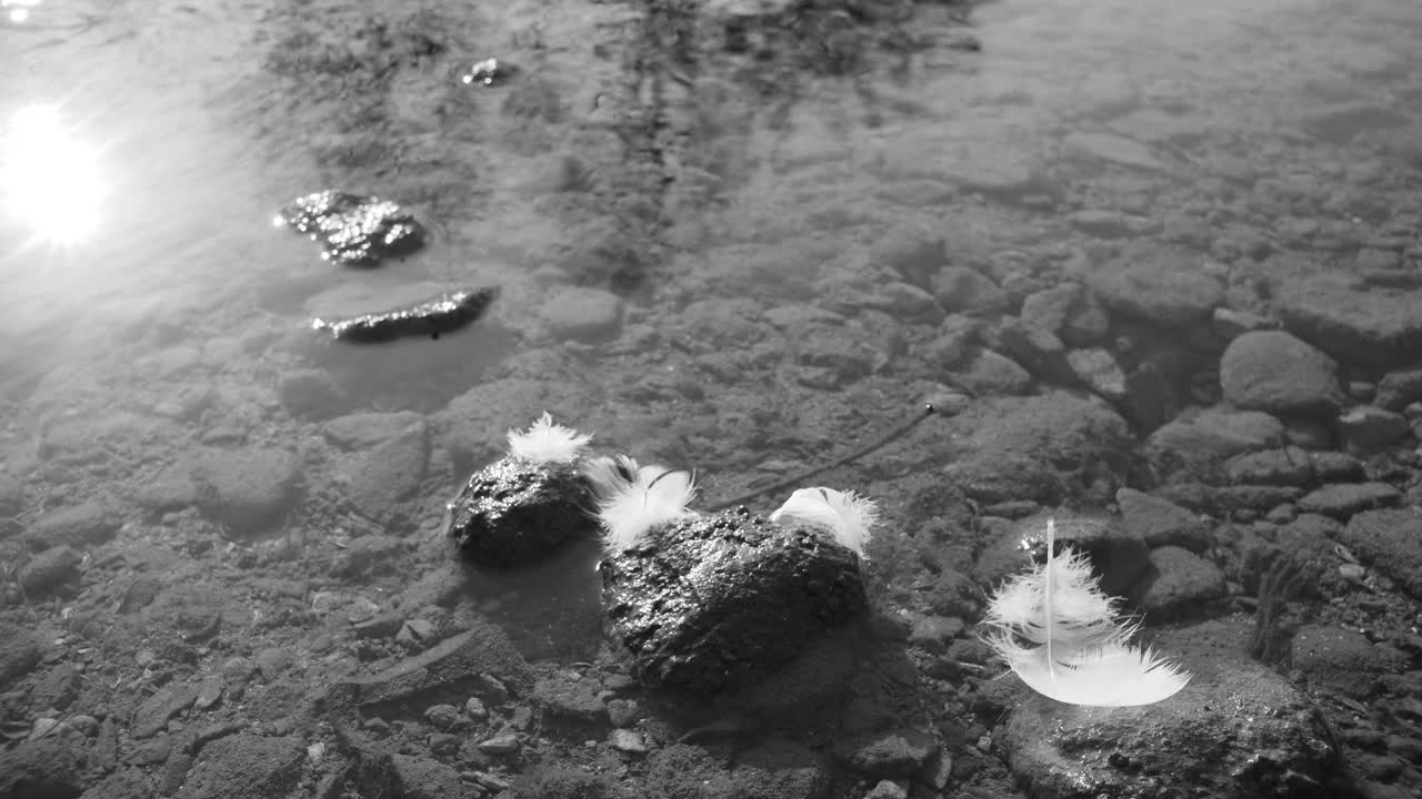 Gentle ripples on a serene rocky lakeshore with feathers and reflections, Switzerland