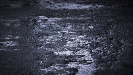 heavy rain shower downpour cloudburst rainfall behind the glass.