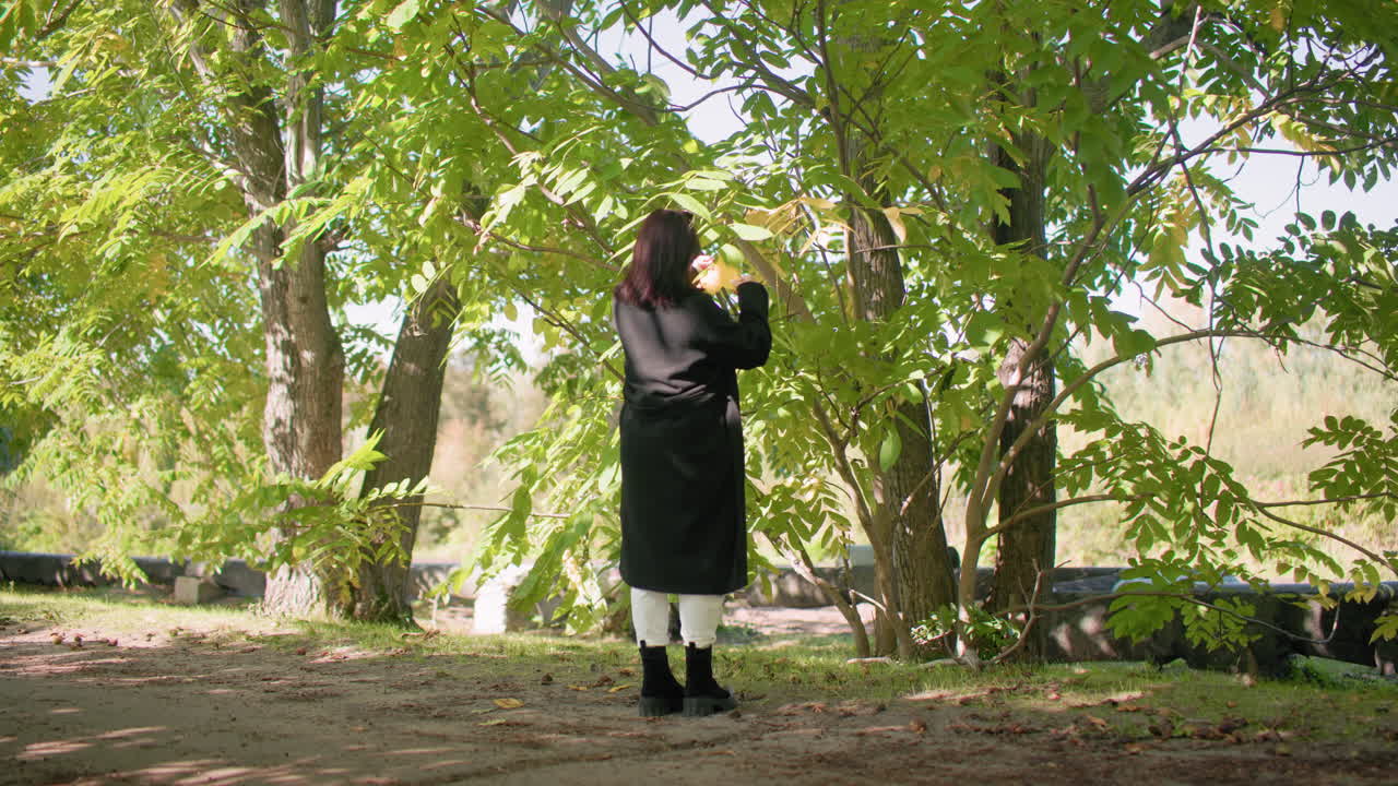 Vista posteriore di una donna elegante con cappotto invernale nero, pantaloni bianchi e stivali, in piedi sotto dei rami verdi, mentre tocca una foglia, allontanandosi dall'albero, sentiero illuminato dal sole in un arboreto, atmosfera tranquilla, momento di apprezzamento della natura