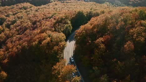 Wunderschöne-Luftaufnahmen-Von-Autos,-Die-Auf-Einer-Malerischen-Straße-Fahren,-Die-Sich-In-Einem-Herbstfarbenen-Wald-Windet