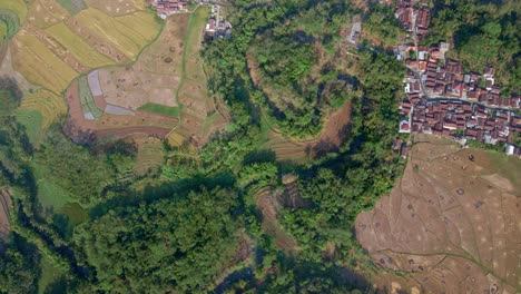 fotografía aérea de un avión no tripulado del campo tropical durante la estación seca