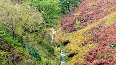 lento movimiento arroyo de páramo que fluye suavemente en los páramos pennine, video aéreo de dron con pequeñas cascadas, río y valle cubierto de brezo