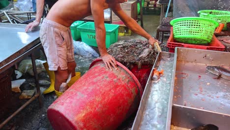 worker rinsing and cleaning fish at market