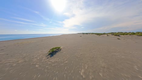 Drone-flight-over-sandy-beach-surrounded-by-Caribbean-Sea-and-green-Dune-Landscape-during-sunlight---Bani-Dunes-on-Dominican-Republic-Island