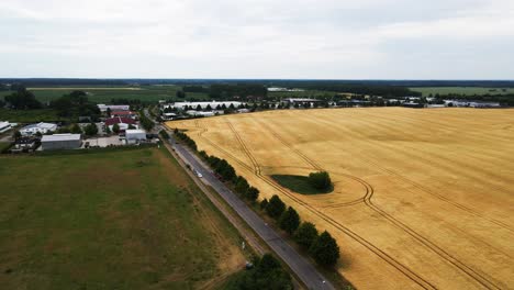 aerial: flying parallel to a corn field in rural germany