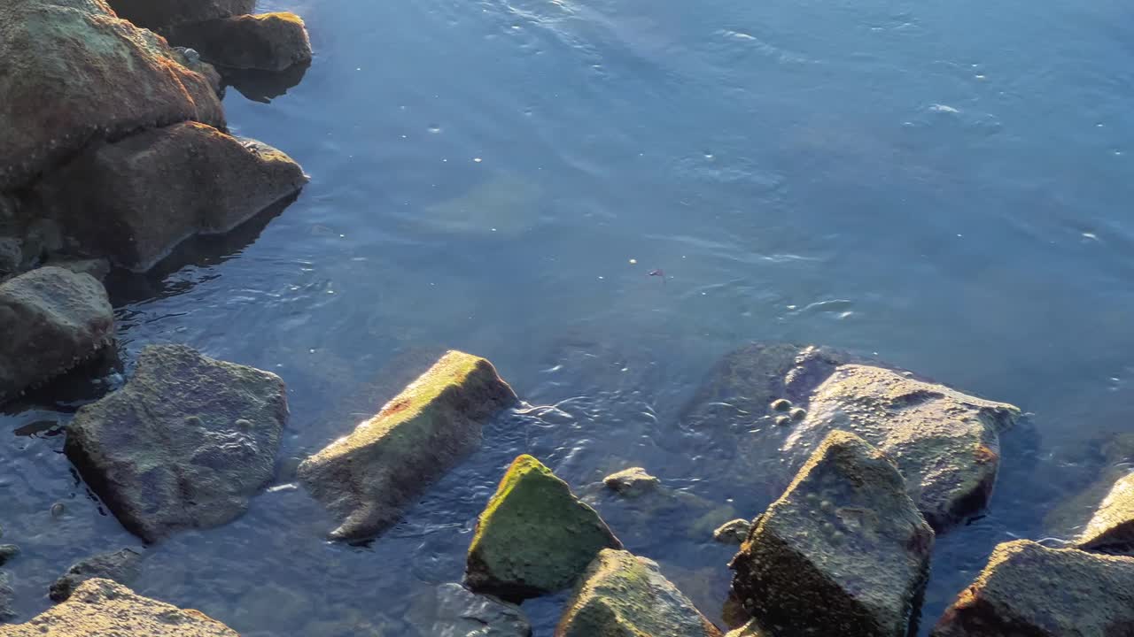Scena che ritrae sassi e rocce nell'acqua di mare, con luce solare radente su un paesaggio costiero