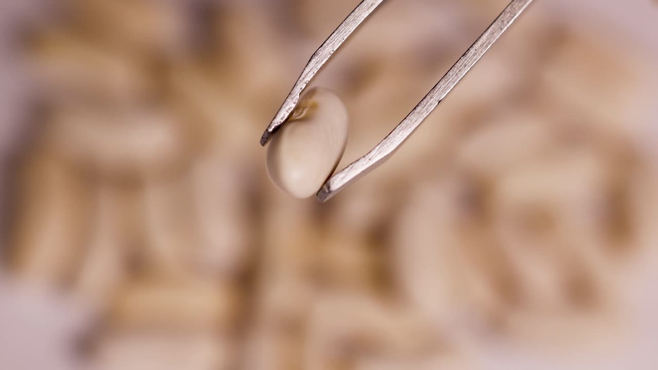 Tweezers Holding a Pill