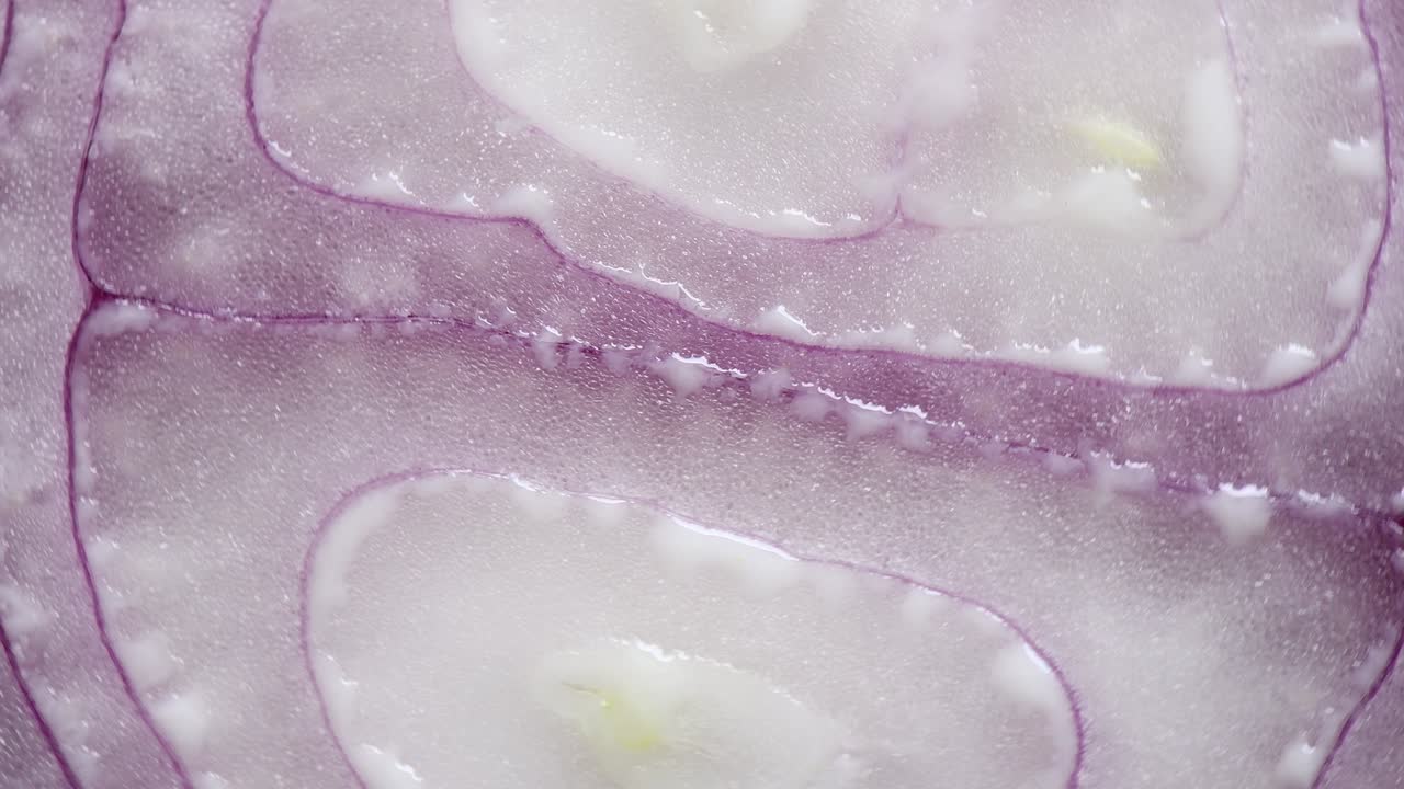 양파 조각 회전